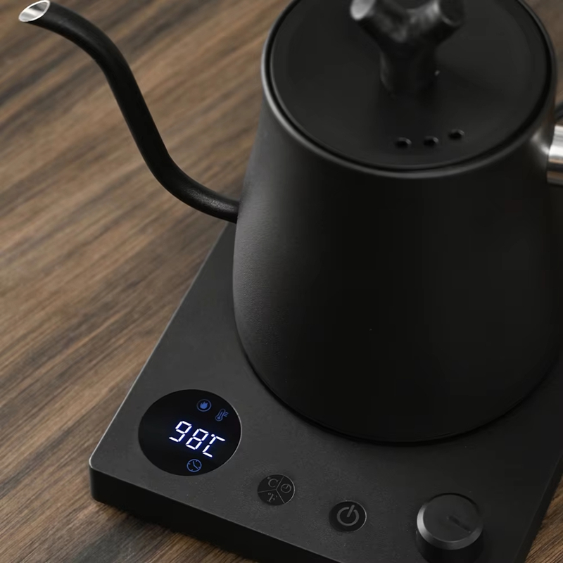 Bouilloire électrique à col de - Electric Kettle Temperature Control avis et prix