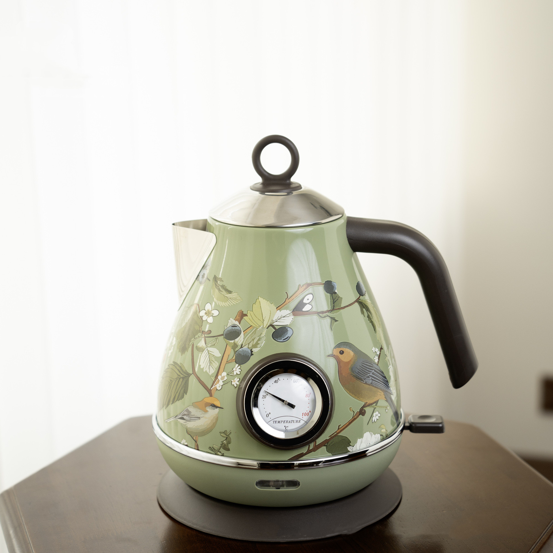 Bouilloire électrique rétro ro - Electric Kettle Temperature Control avis et prix