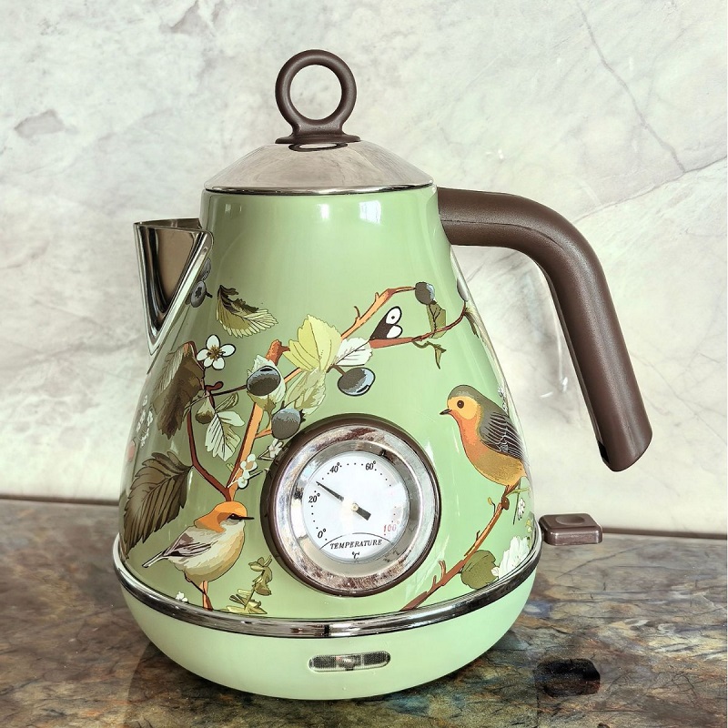 Bouilloire électrique rétro ro - Electric Kettle Temperature Control avis et prix