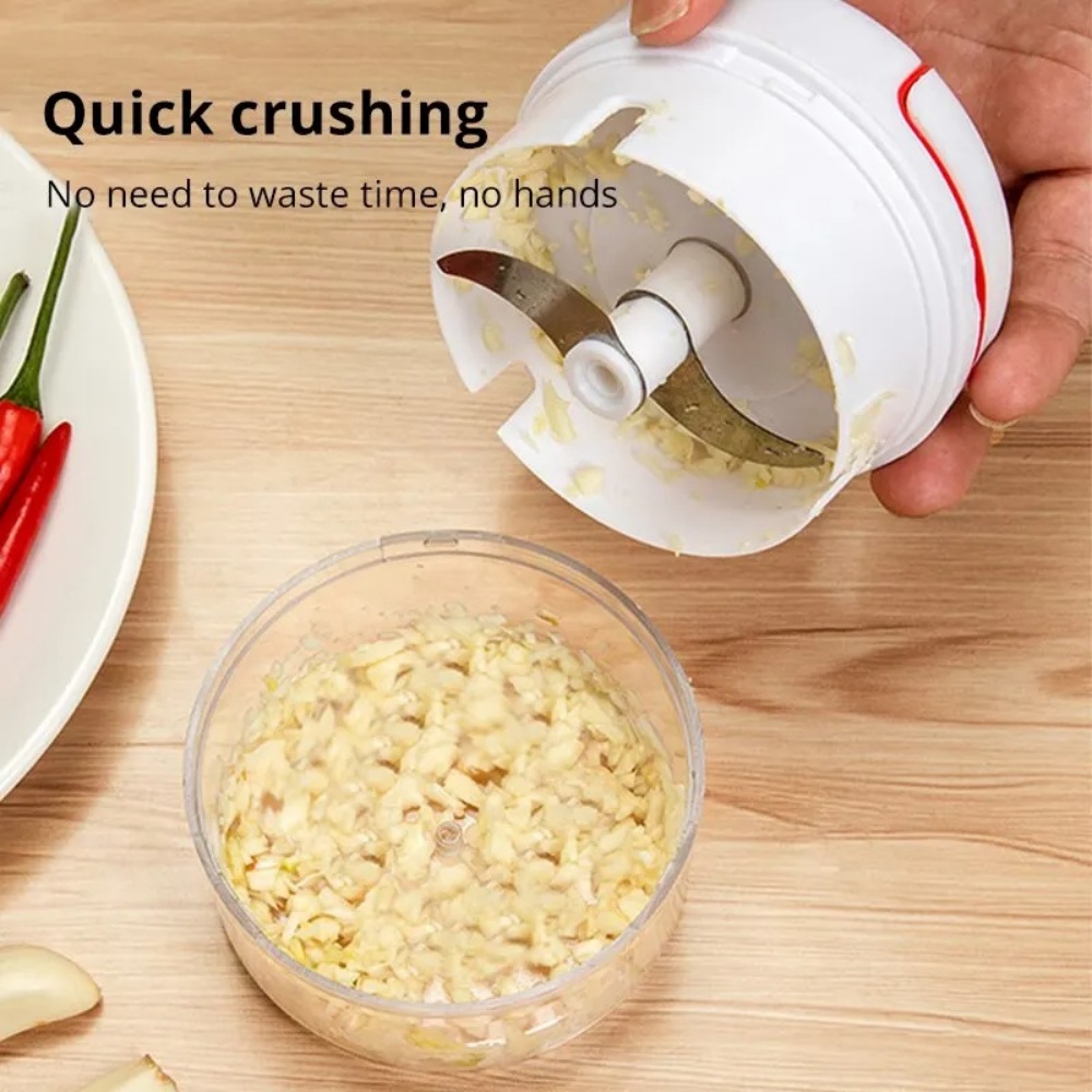Écraseur d'ail manuel, broyeur - Immersion Hand Blender Set avis et prix