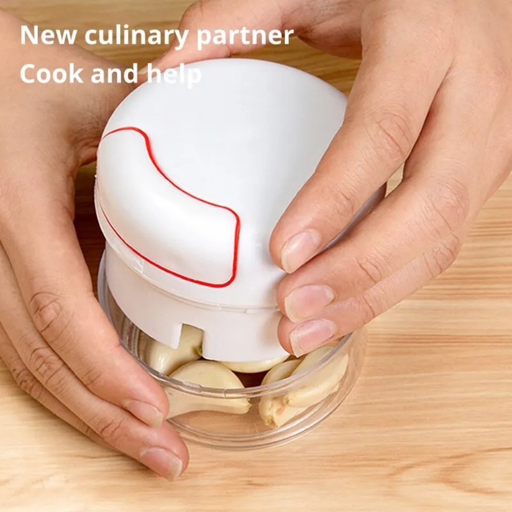 Écraseur d'ail manuel, broyeur - Immersion Hand Blender Set avis et prix
