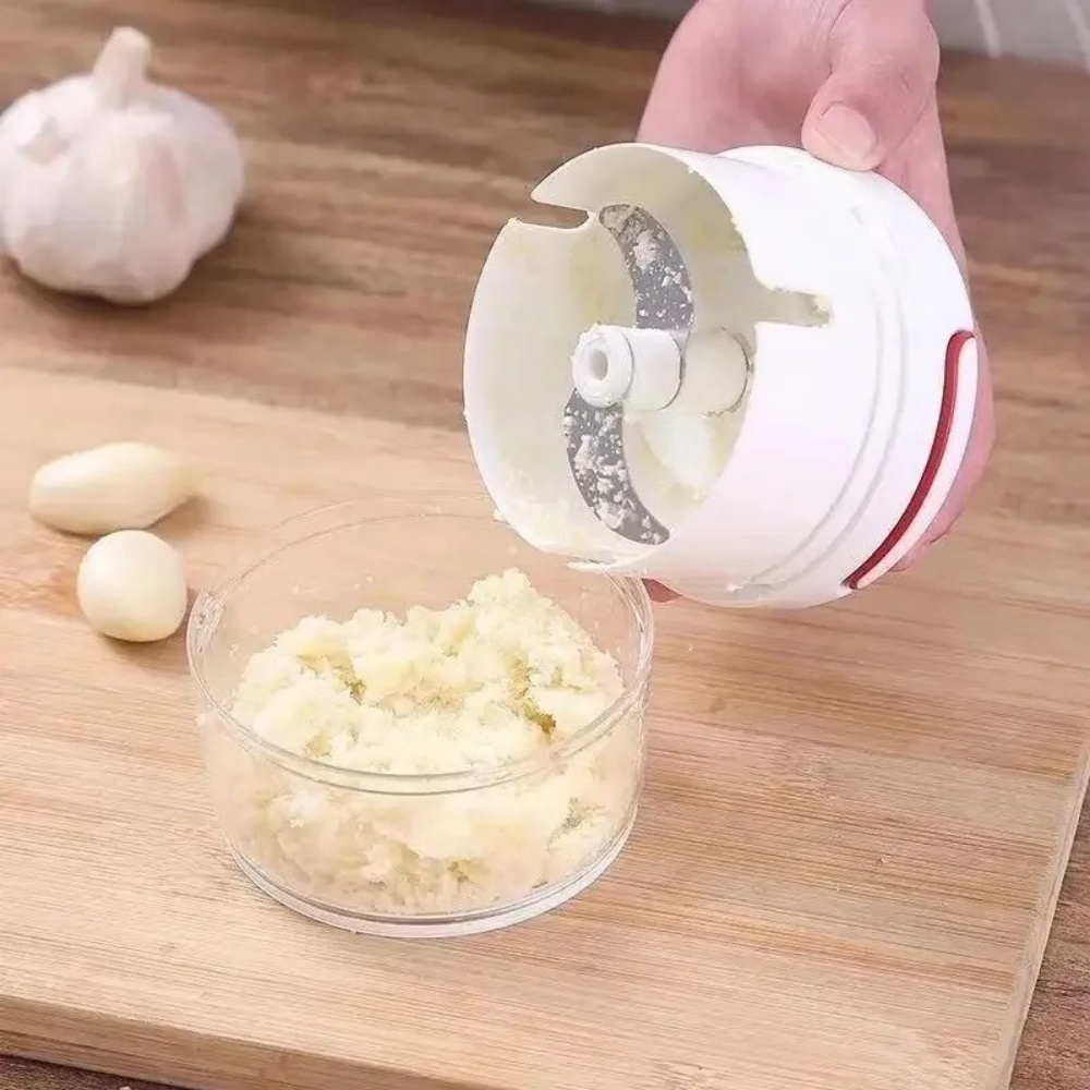 Écraseur d'ail manuel, broyeur - Immersion Hand Blender Set avis et prix