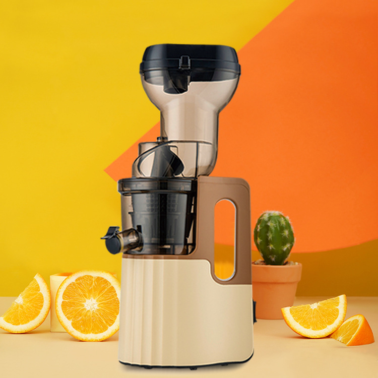 Presse-agrumes électrique lent - Electric Slow Juicer Cold Press avis et prix